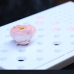 Масичка за сушене на цветя от gum paste