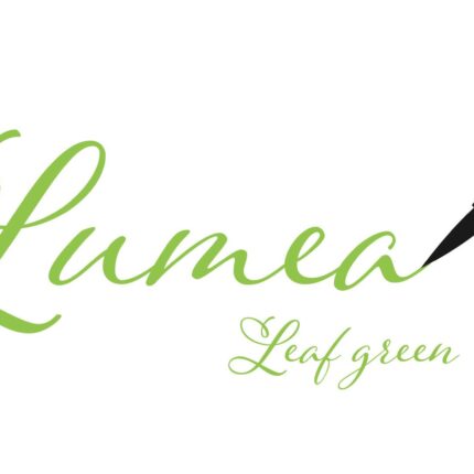 Lumea писалка - цвят зелен